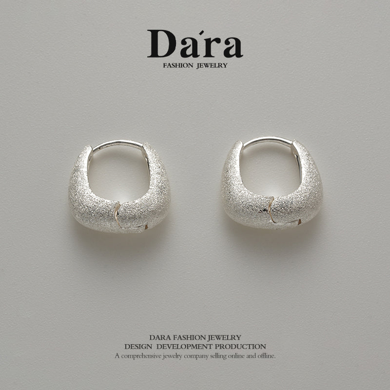 DARA S925 Silver Earrings FYE-01851100